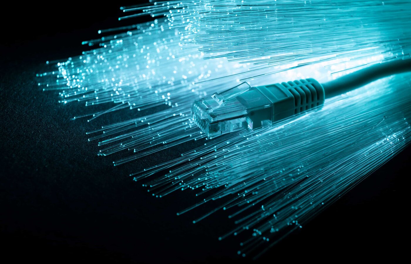Fibre optic cable ends illuminated