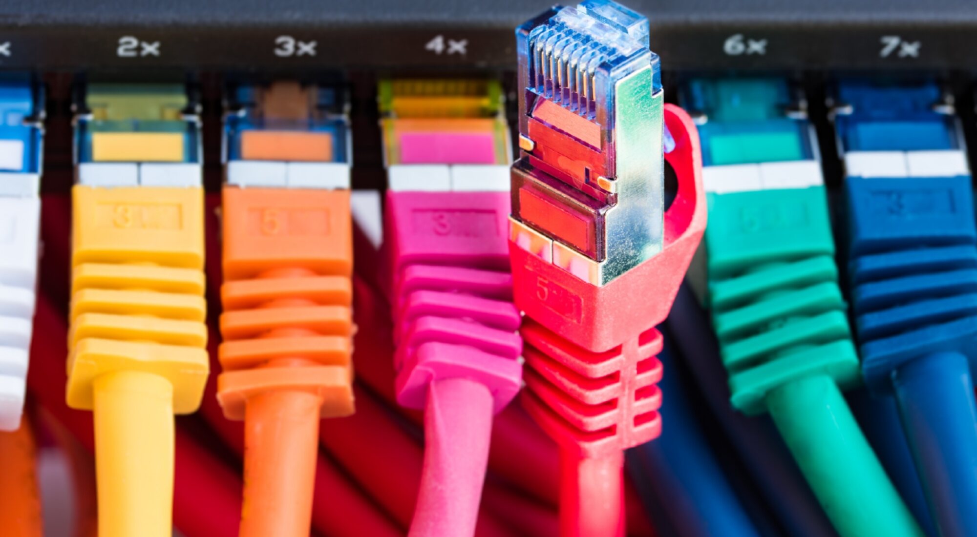 Patch panel and structured cabling in a live equipment rack