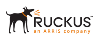 Ruckus Networks