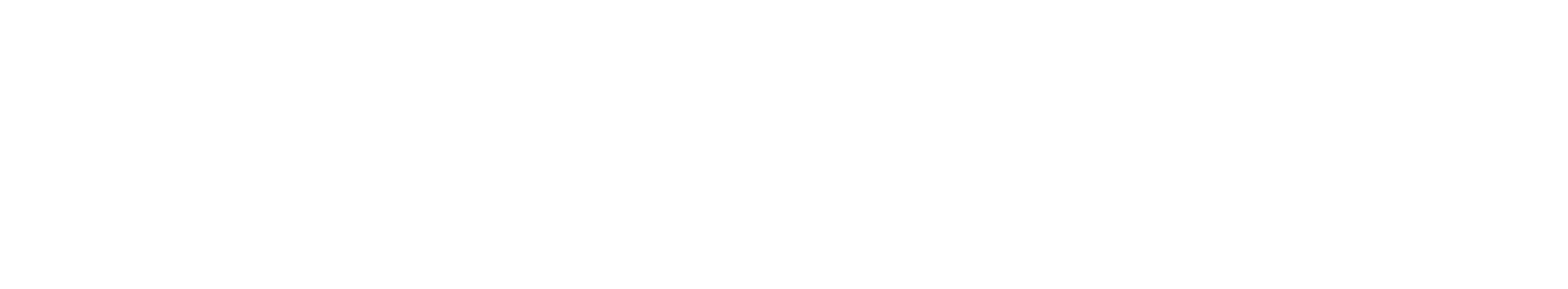 NetraClos
